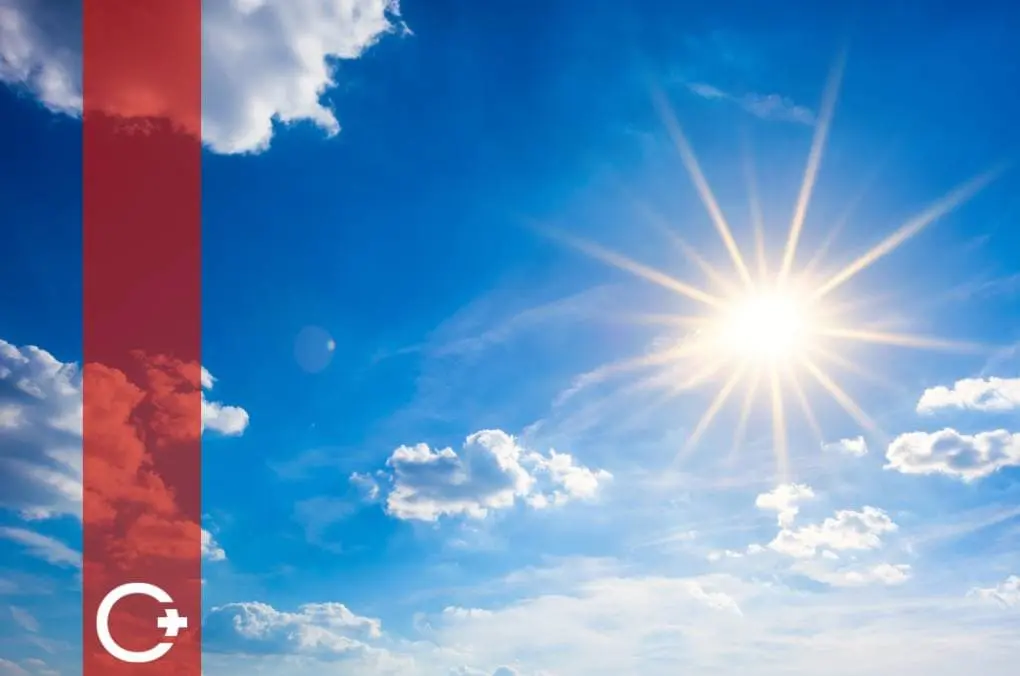 sistema-ibirdo-nucleo-plus