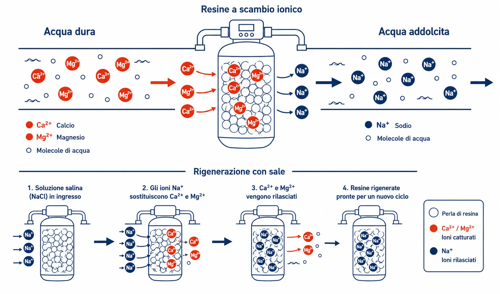 Nucleo plus Schema tecnico del processo di scambio ionico in un addolcitore domestico: gli ioni di calcio e magnesio vengono sostituiti con ioni di sodio dalle resine, con ciclo di rigenerazione con sale